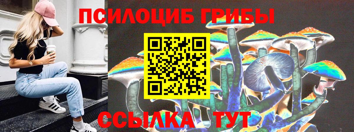 Каспийск  Галлюциногенные грибы GOLDEN TEACHER  Вход с VPN 