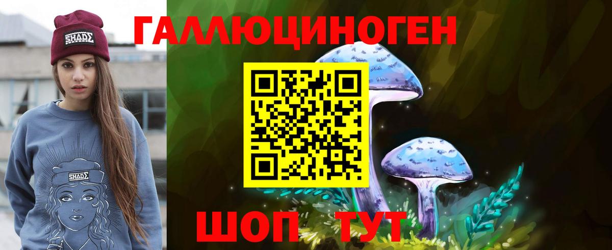 Псилоцибиновые грибы мицелий Каспийск